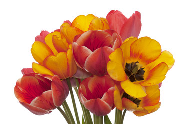 Similar image 8455229