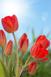 Similar image 8455236