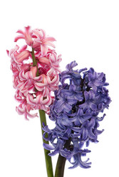 Similar image 8455251