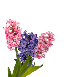 Similar image 8455253