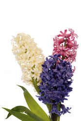 Similar image 8455254