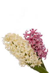 Similar image 8455255