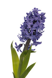 Similar image 8455256