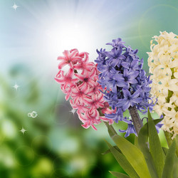 Similar image 8455273