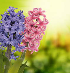 Similar image 8455275