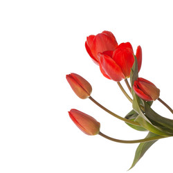 Similar image 8455279