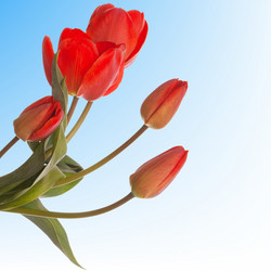 Similar image 8455283