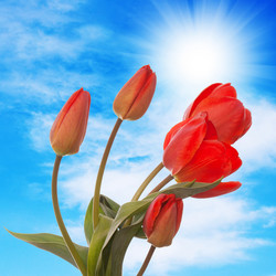 Similar image 8455288