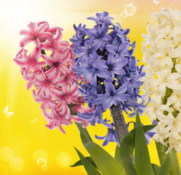 Similar image 8455298