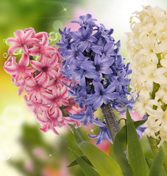 Similar image 8455303