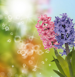 Similar image 8455304