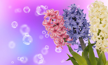 Similar image 8455305