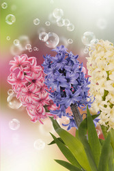 Similar image 8455306