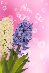 Similar image 8455307