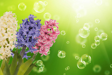 Similar image 8455308