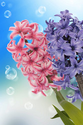 Similar image 8455309