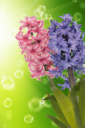 Similar image 8455310