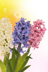 Similar image 8455312