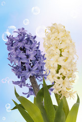 Similar image 8455313