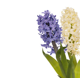 Similar image 8455363