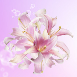 Similar image 8455366