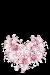 Similar image 8455372