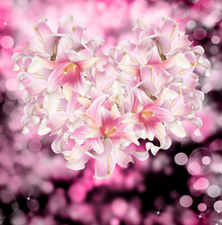 Similar image 8455398