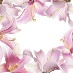 Similar image 8455400