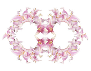 Similar image 8455401