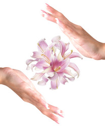 Similar image 8455404