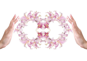 Similar image 8455412