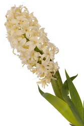 Similar image 8455448