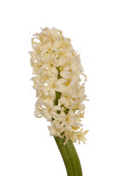 Similar image 8455449