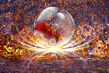 Similar image 8455495