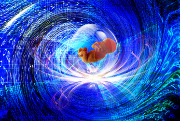 Similar image 8455504