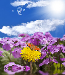 Similar image 8455681