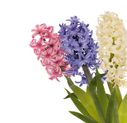 Similar image 8455688