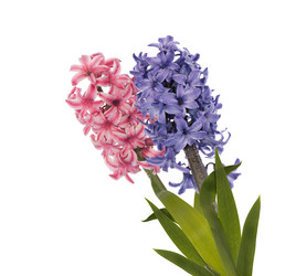 Similar image 8455689