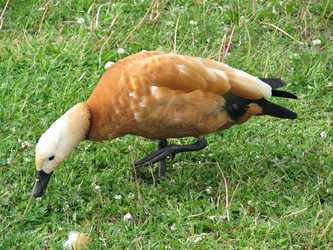 Similar image 8455698