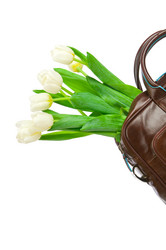 Similar image 8455735