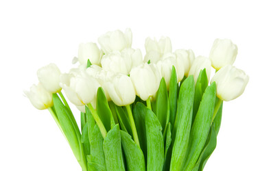 Similar image 8455737