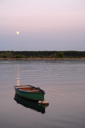 Similar image 8455745