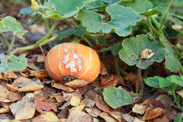 Similar image 8455749