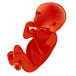 Similar image 8455815