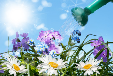 Similar image 8455844