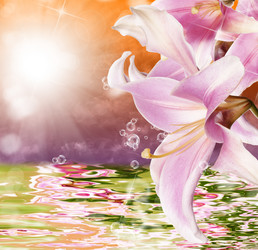 Similar image 8455846