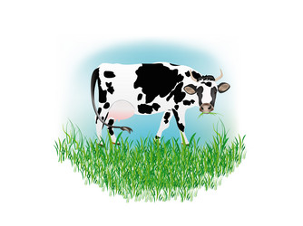 Similar image 8455854