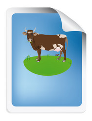 Similar image 8455857