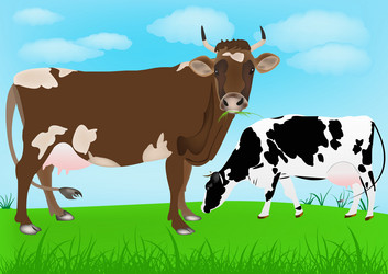 Similar image 8455862