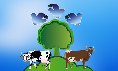 Similar image 8455879